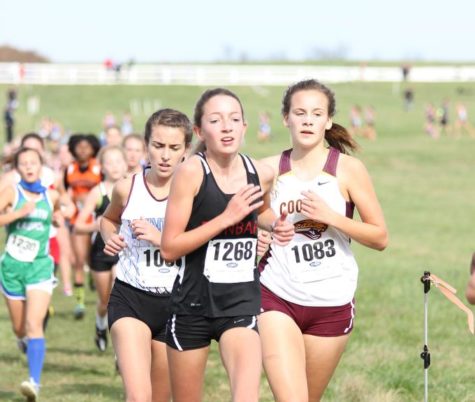 Girls Cross Country Recap