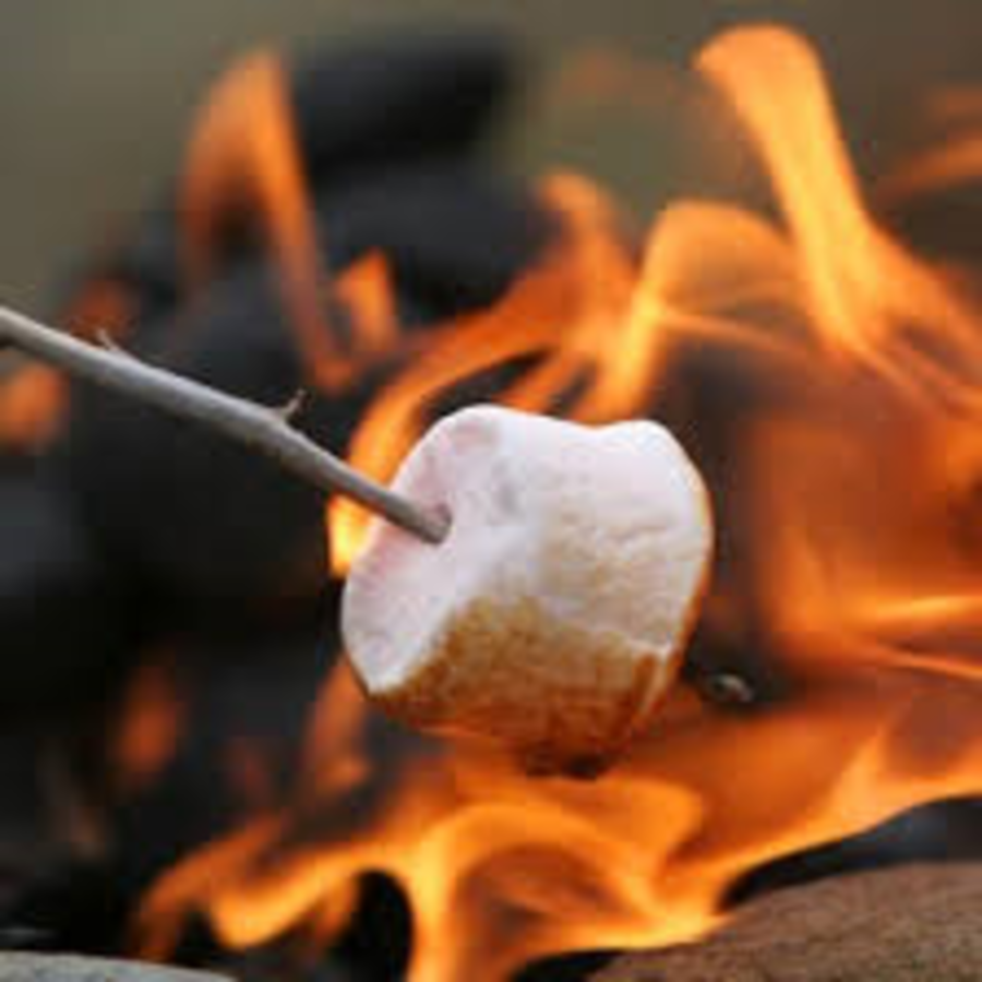 Smores are some of the seasons best treats. 