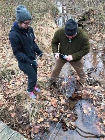 What I Learned in the Woods