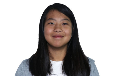 Wenbo Fan