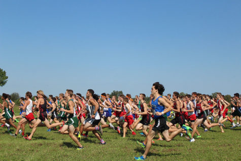 Cross Country Shines at the Bluegrass Invitational