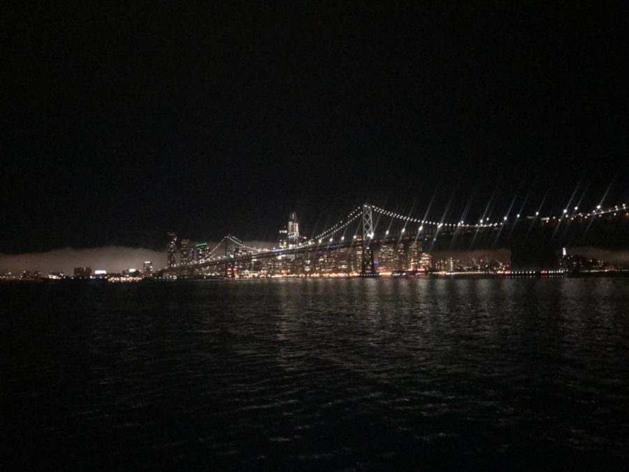 Our view of the San Francisco skyline from the cruise ship was breathtaking.