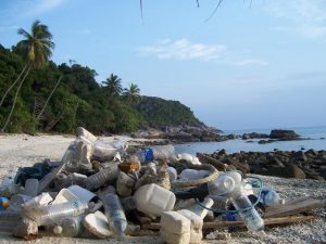 So much trash is left on beach shorelines, leaving it to float in the oceans.