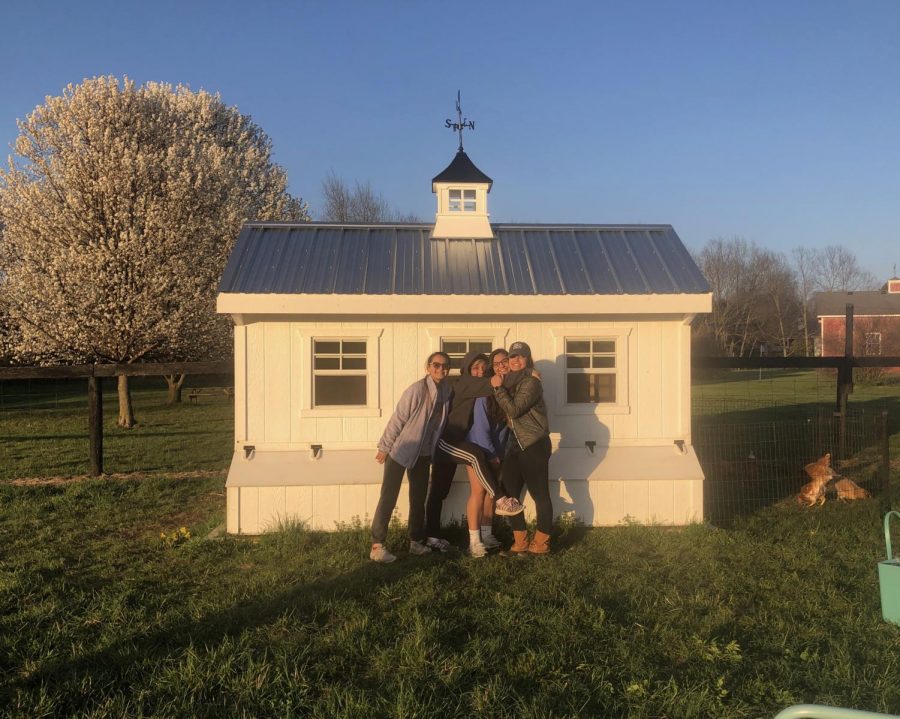 Four Girls One House: Sisters Reconnecting
