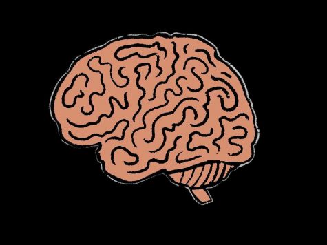Some studies link social isolation with reduced cognitive function, leading teachers and mental health professionals to worry about the affects of COVID-19 quarantines on students' emotional and mental wellness.
