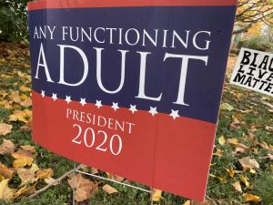 Many unique signs have appeared around Lexington indicating that the owners would vote for any functioning adult, presumably indicating a lack of support for President Trump.