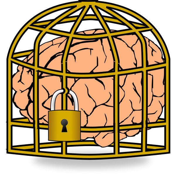 Some studies link social isolation with reduced cognitive function, leading teachers and mental health professionals to worry about the affects of COVID-19 quarantines on students' emotional and mental wellness.