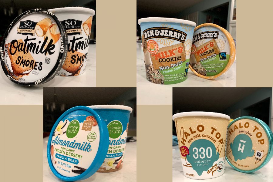 Surprisingly, vegan ice cream comes in many flavors to satisfy your sweet cravings. 