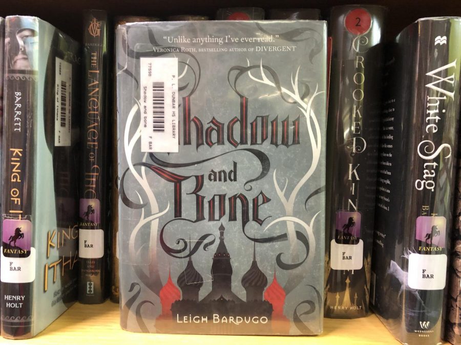 The Shadow and Bone series by Leigh Bardugo is available in the PLD library.