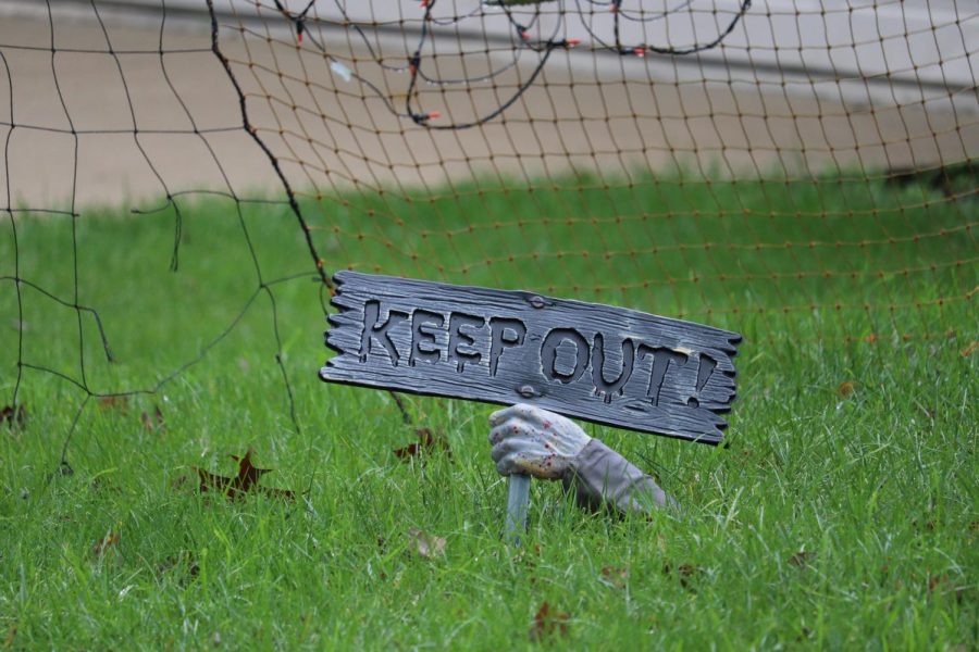 Must-See Halloween Decorations