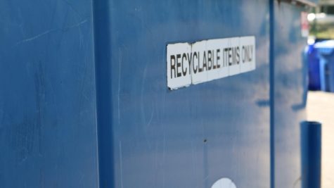 PLD Recycling Club Keeps Dunbar Green