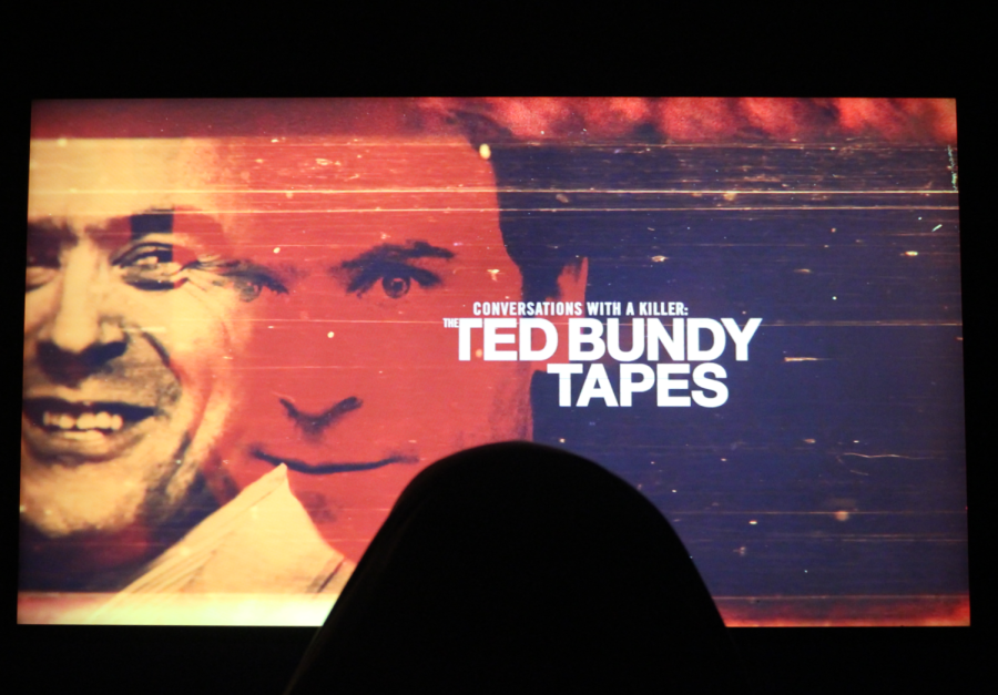 In recent years Netflix has put out several documentaries about not only Ted Bundy but numerous other notorious serial killers, serving to fuel the morbid fascination of fanatics .