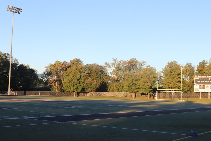 The bright, shining Sun luminates the 
football field trees.