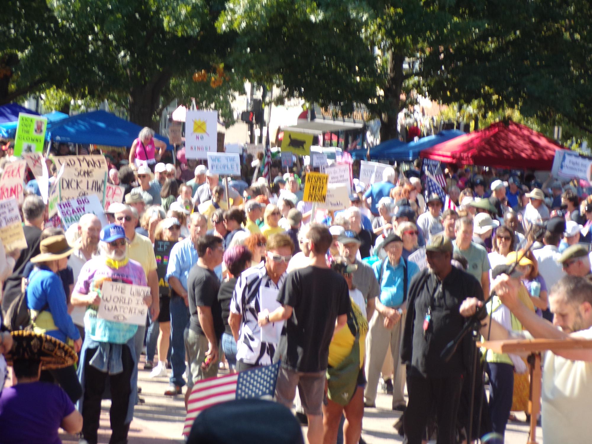 Lexington's No Kings Protest