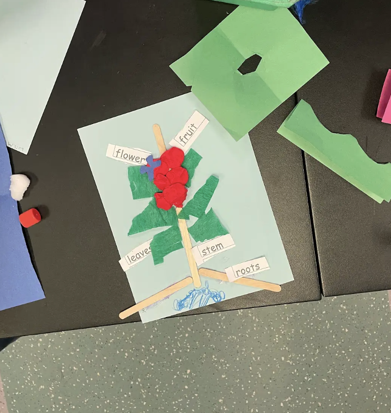 STEMStars