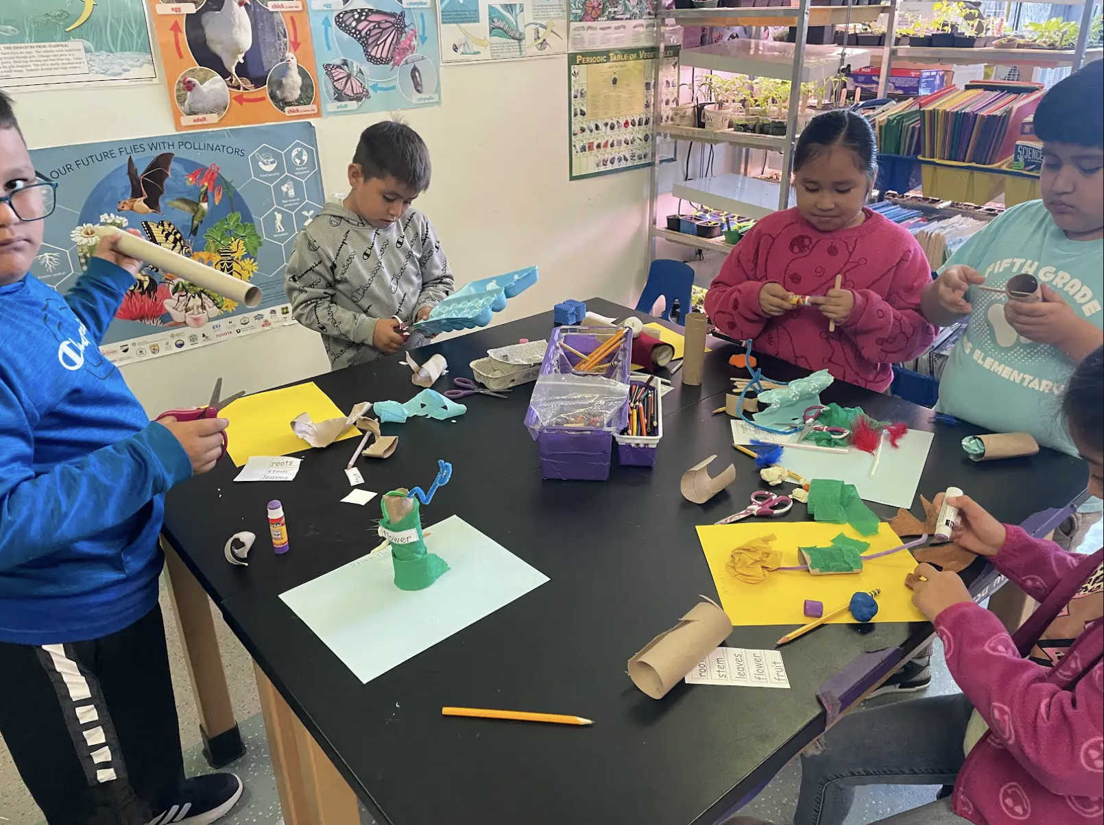 STEMStars